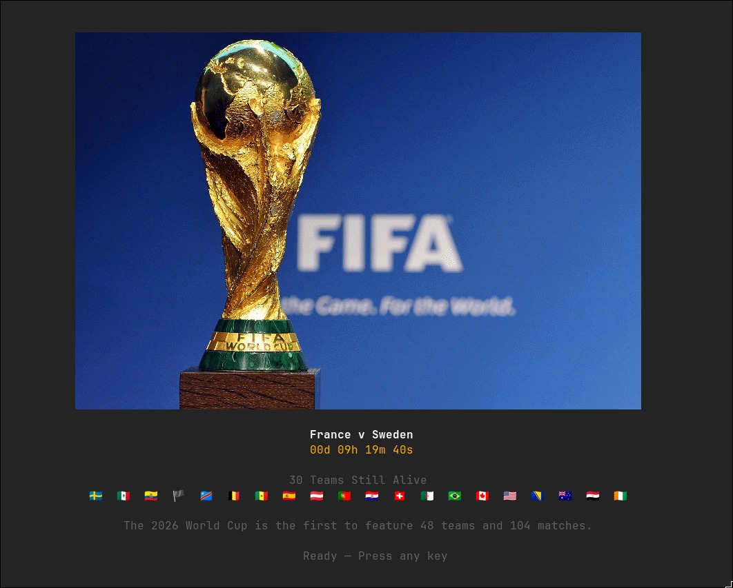 FootyQuant terminal interface